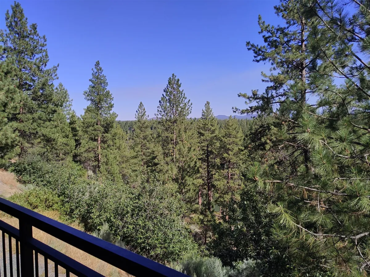 A scenic view of lush green trees, distant mountains, and a clear blue sky, suggesting proximity to trails and nature-based activities. The perspective invites viewers to imagine stepping outdoors for hiking or dog-friendly walks.