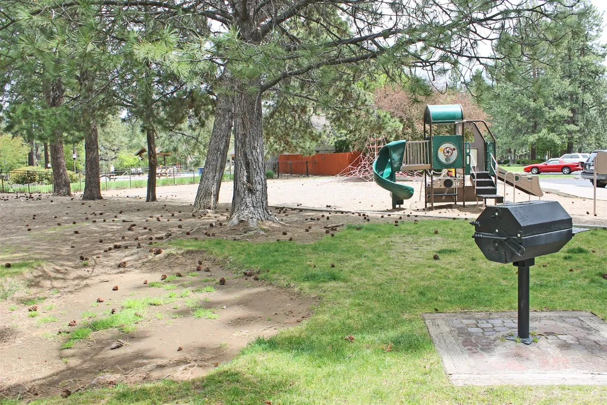 A lively outdoor scene with playground equipment, a grill, and large trees providing shade. Children can be seen playing while families set up for a picnic or barbecue. The setting exudes joy and a sense of community, with spaces for both activity and relaxation.